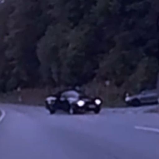 NP 12