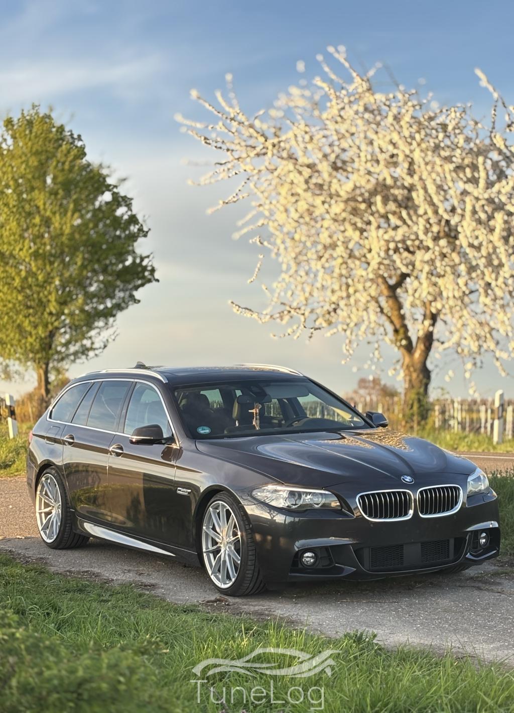 520d