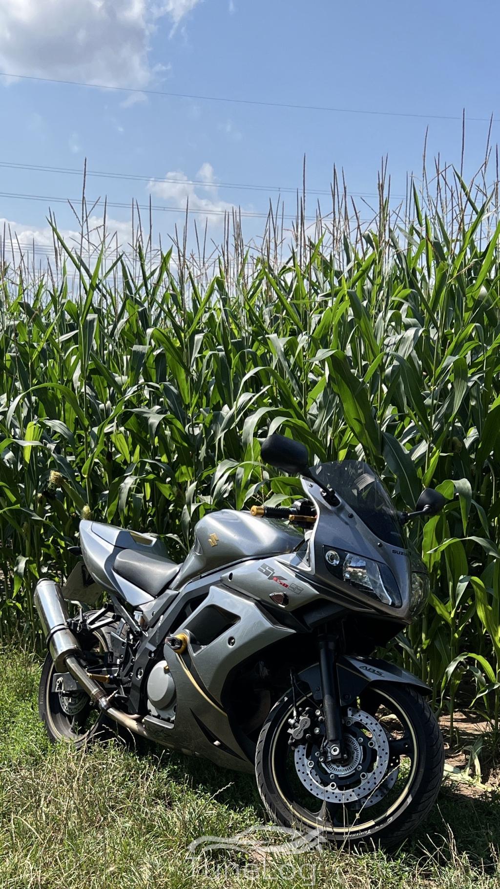 SV 650