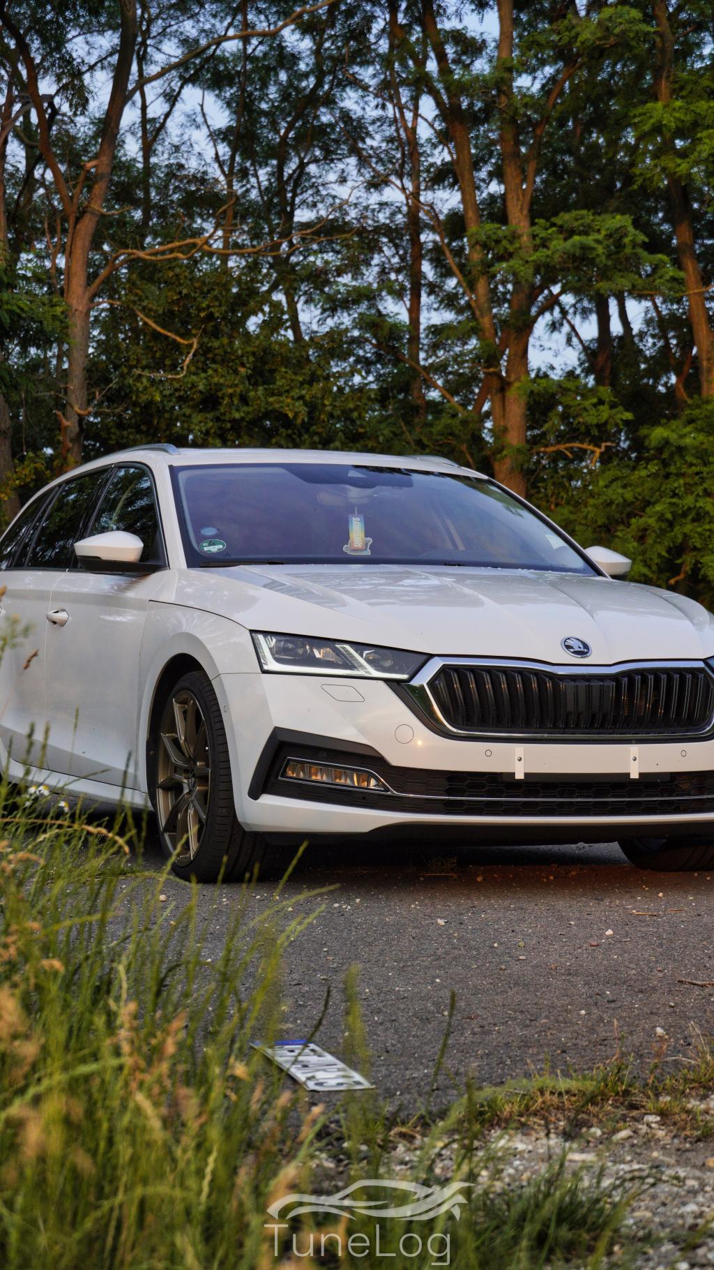 Octavia NX