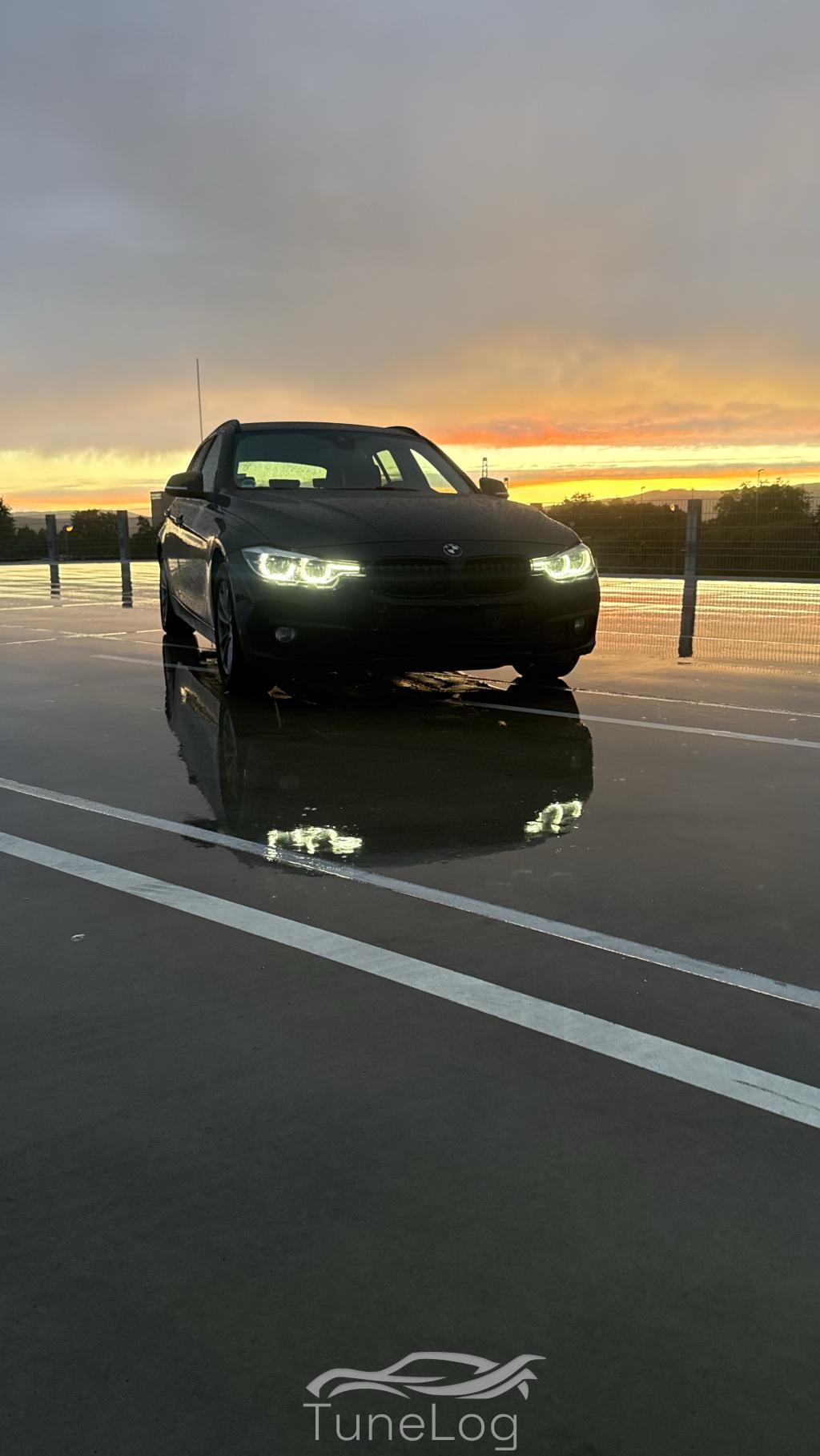 316d F31