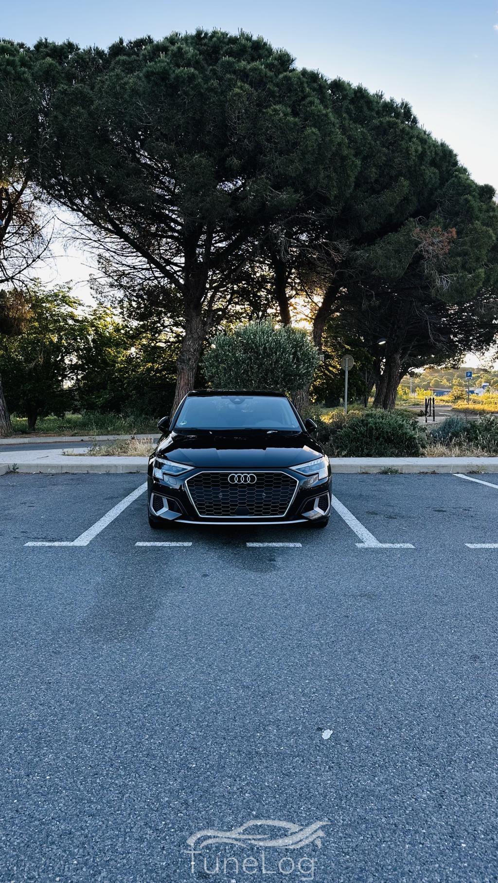 A3