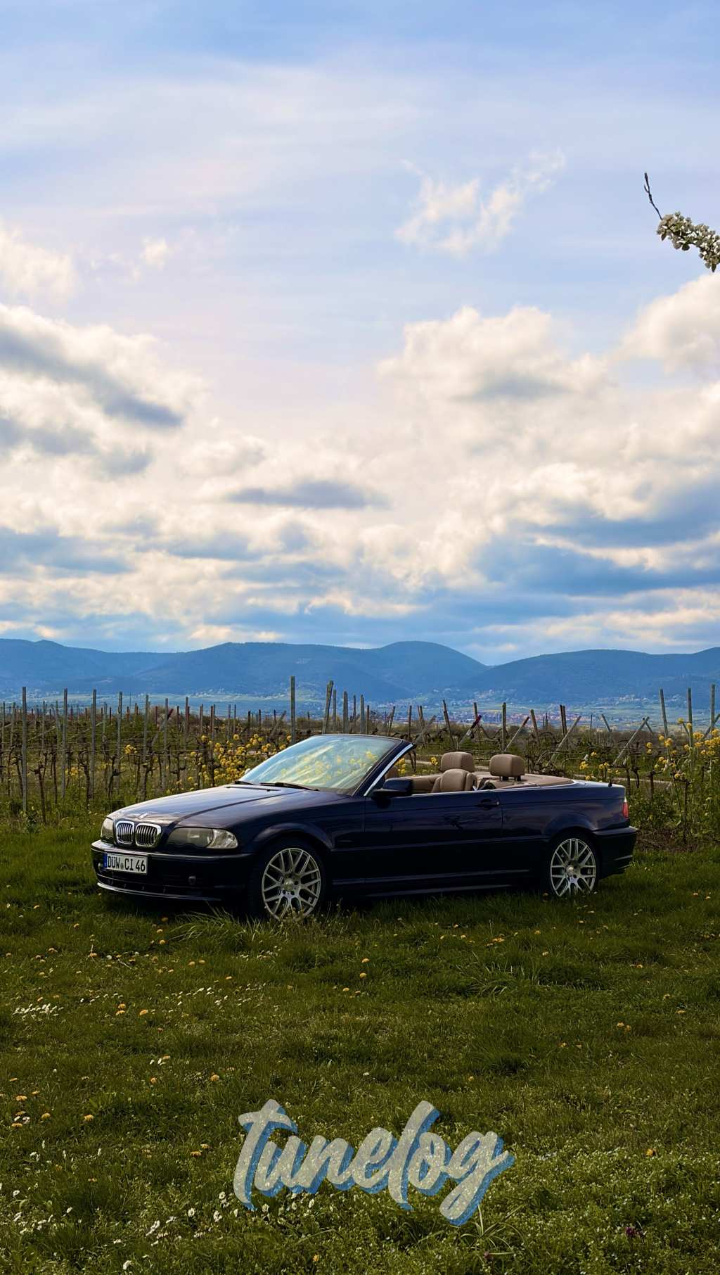 2001 BMW 320Ci